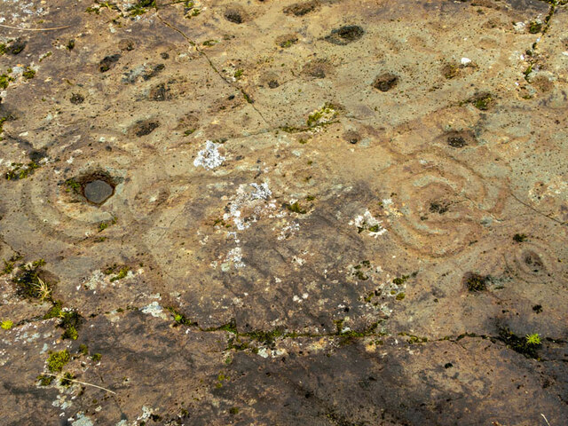 Detail of Ballygowan cup and ring marked rock