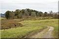 NR8196 : Wooded hill near Barsloisnoch by Patrick Mackie