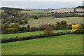 Avon Valley view from above Salterton Farm