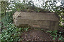 SU5985 : Pillbox on the Thames path south of Cholsey by Ian S