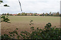 Houses at Cholsey