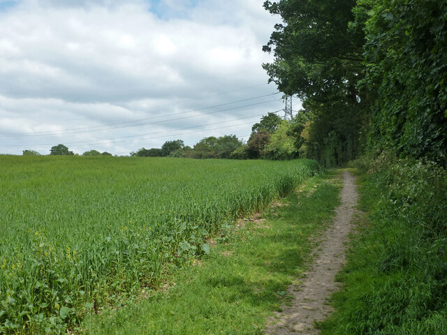 Footpath northwards from Aldenham