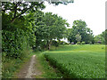 Footpath nearing Aldenham