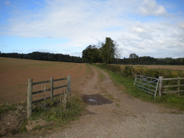 Farm track west of Allestree