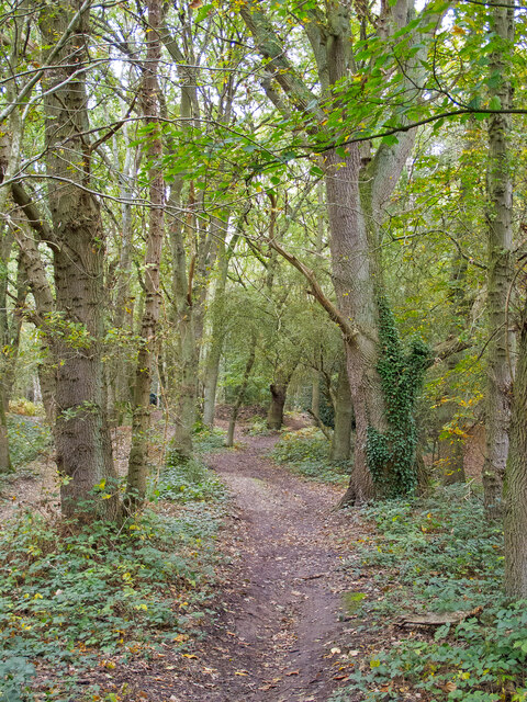 Path in Warley Gap