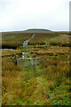 NY9017 : Estate track crossing Bleagill Hearne from Rushy Hill by Andy Waddington