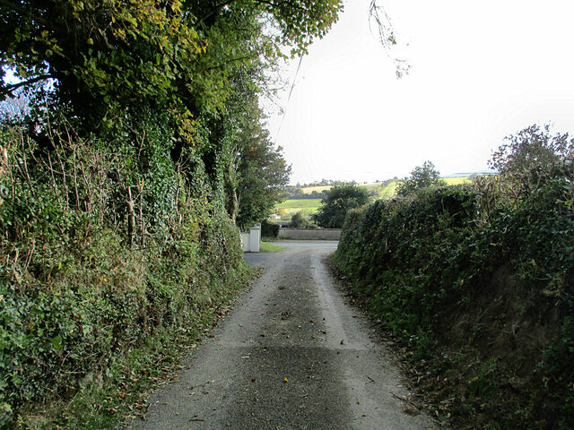 Country Laneway