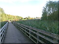 Boardwalk View