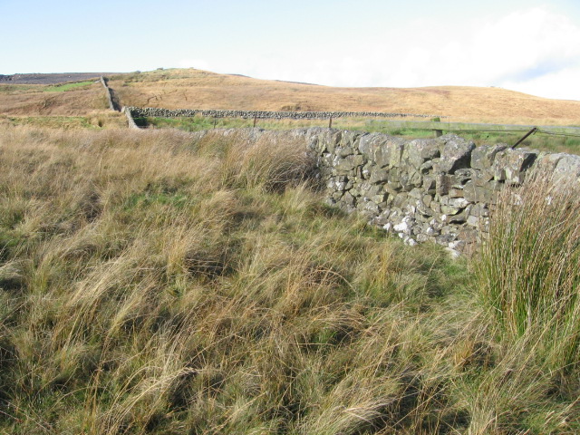 Wall near Kennox farm