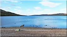 NN6557 : Blue waters, Loch Rannoch by Gordon Hatton
