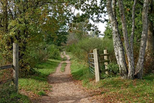 Track in Devil's Spittleful Nature Reserve, Worcestershire