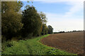 Essex Way between Cressing and Coggeshall