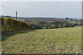 SU0359 : Field edge on Etchilhampton Hill by David Martin