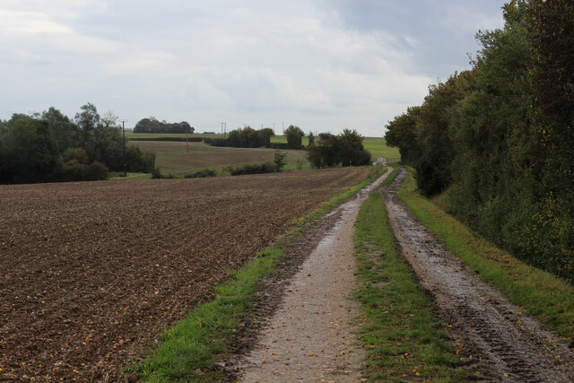 Access Track leading away from Curd Hall Farm