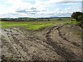 Farmland at Pendock