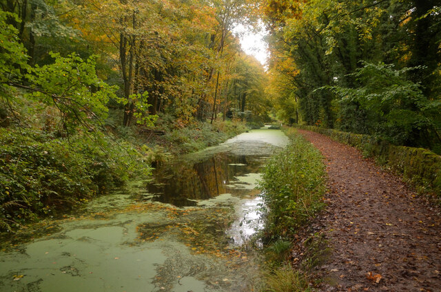 Autumn Colours on the Cromford Canal, Derbyshire