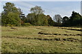 Freshly-mown meadow at Coate