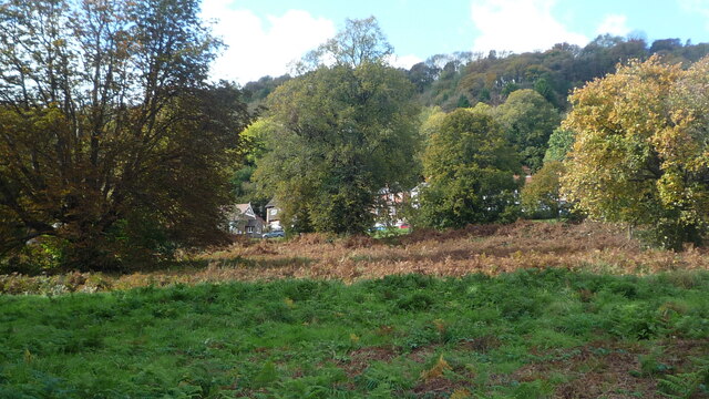The Village of Lower Wyche