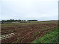 Stubble field towards High Barn Farm