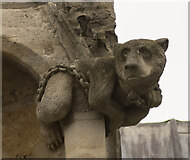 SK9771 : Lincoln Cathedral, Bear carving by Julian P Guffogg