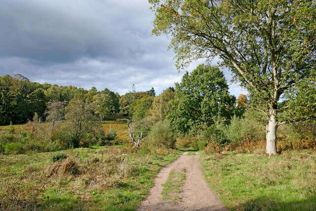The Rifle Range Nature Reserve in Worcestershire