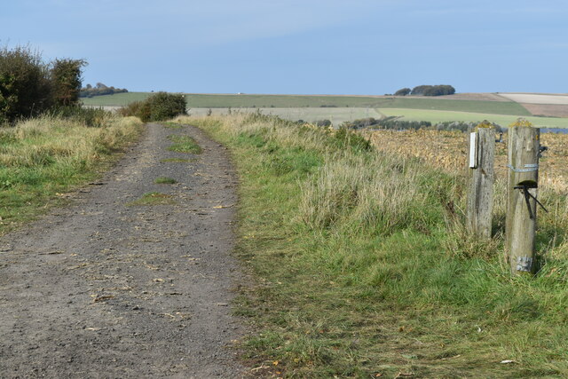 On the Wessex Ridgeway path