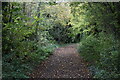 Path toward Coate Bridge