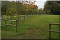 Paddock on the footpath at Wedhampton