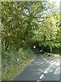 The road to Higher Wraxall from road junction near Lower Wraxall