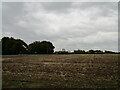 Stubble field alongside Leagate Road