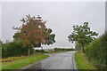 Approaching the junction of Pink lane with Fairstead Road