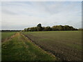 Track to the site of Glebe Farm