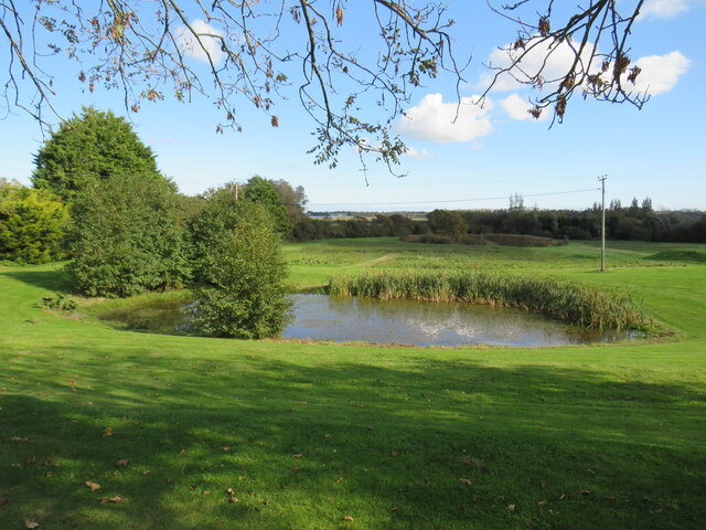 Pond near Merstone