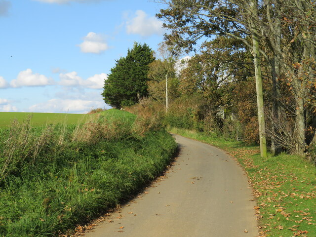 Budbridge Lane near Merstone