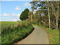 Budbridge Lane near Merstone