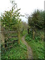 Path to Nosterfield Nature Reserve