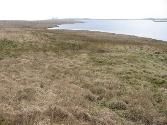 Moorland beside Lochgoin Reservoir