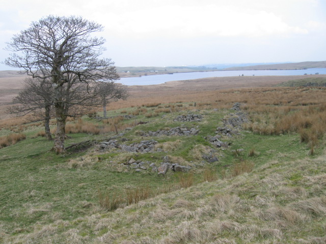 Ruins of Blackwood farmhouse