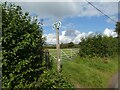 Footpath signs on north edge of Halstock