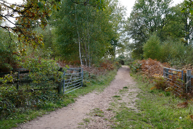 Bridleway to Blackstone near Bewdley, Worcestershire