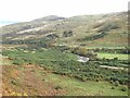 College Valley below Southernknowe