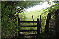 Stile on footpath up to Duffryn Road