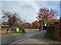 Looking from Trinity Court into Rushams Road