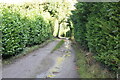 Footpath to Church Rd