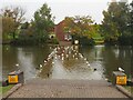 Ford at one of the lakes at the JCB world headquarters 