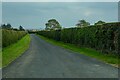 Kyloe : Country Lane