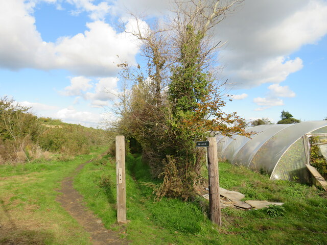 Public footpath near Godshill