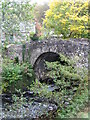 Bridge at Old Struan