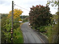 Bridge View