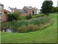 Pond and housing, North Stainley